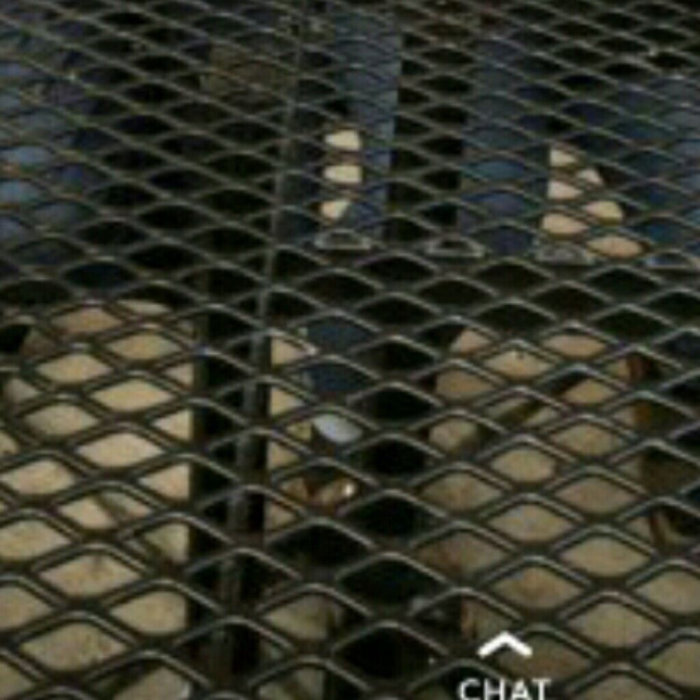 Meet your Posher, Alexis